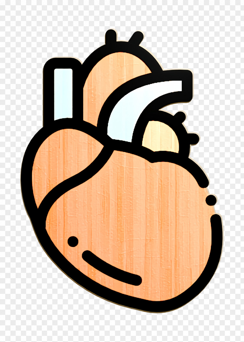 Heart Icon Cardiovascular Biology PNG
