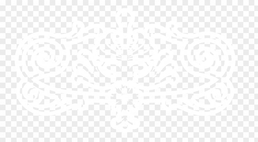 Hollow Pattern Scale Texture Image White Brand PNG
