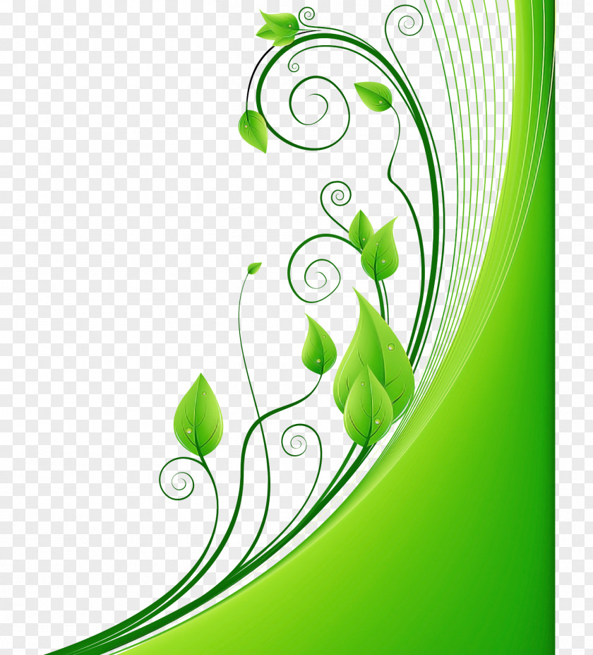 Plant Leaf Green PNG