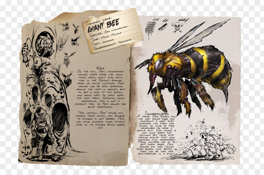Bee ARK: Survival Evolved Beehive Queen Apis Dorsata PNG
