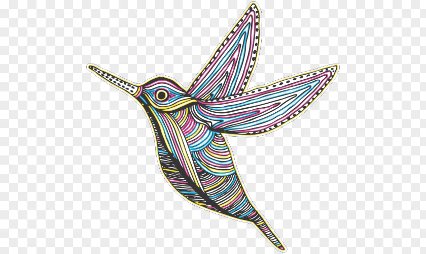 Bird Hummingbird Vector Graphics Image Colibri PNG
