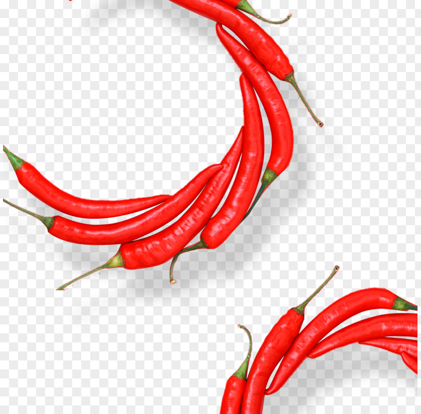 Chili Elements Birds Eye Organic Food Cayenne Pepper Con Carne PNG