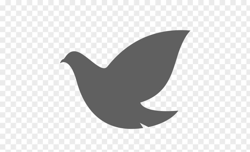 Pigeon Logos File Format PNG