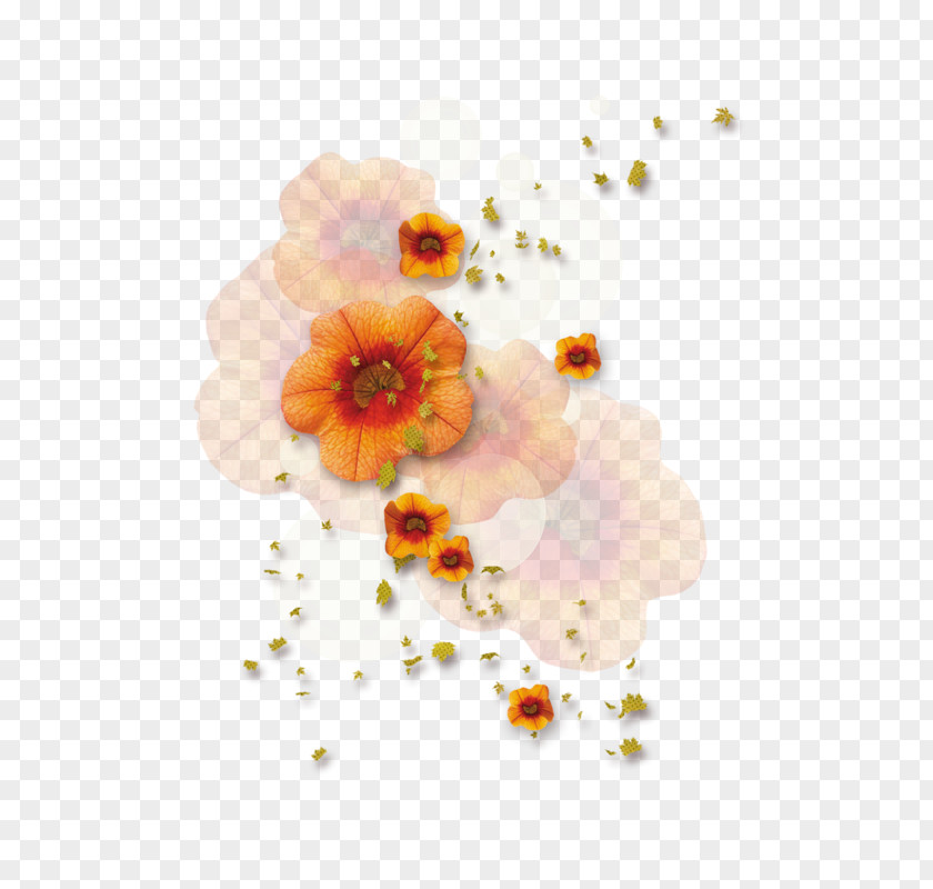 Flower Petal Clip Art PNG