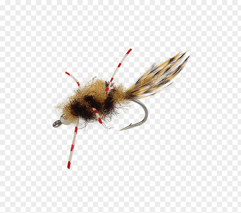 Hairy Crab Gift Box Artificial Fly Holly Flies Insect PNG