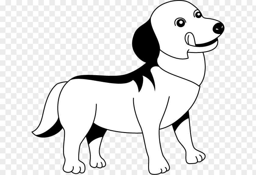 Puppy Dog Breed Whiskers Clip Art PNG