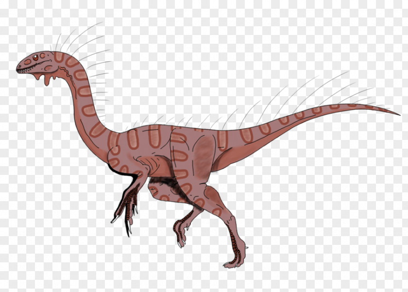Velociraptor Kronosaurus Tyrannosaurus Reptile Albertosaurus PNG