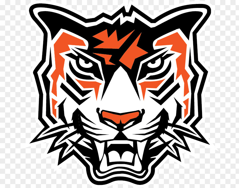 Amherst Central High School Detroit Tigers Sports Williamsville PNG