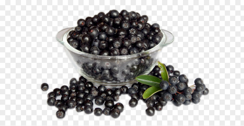 Black Blueberry Aronia Melanocarpa Berry Sorbus Aucuparia Xd7 Sorbaronia Mitschurinii Pressure PNG