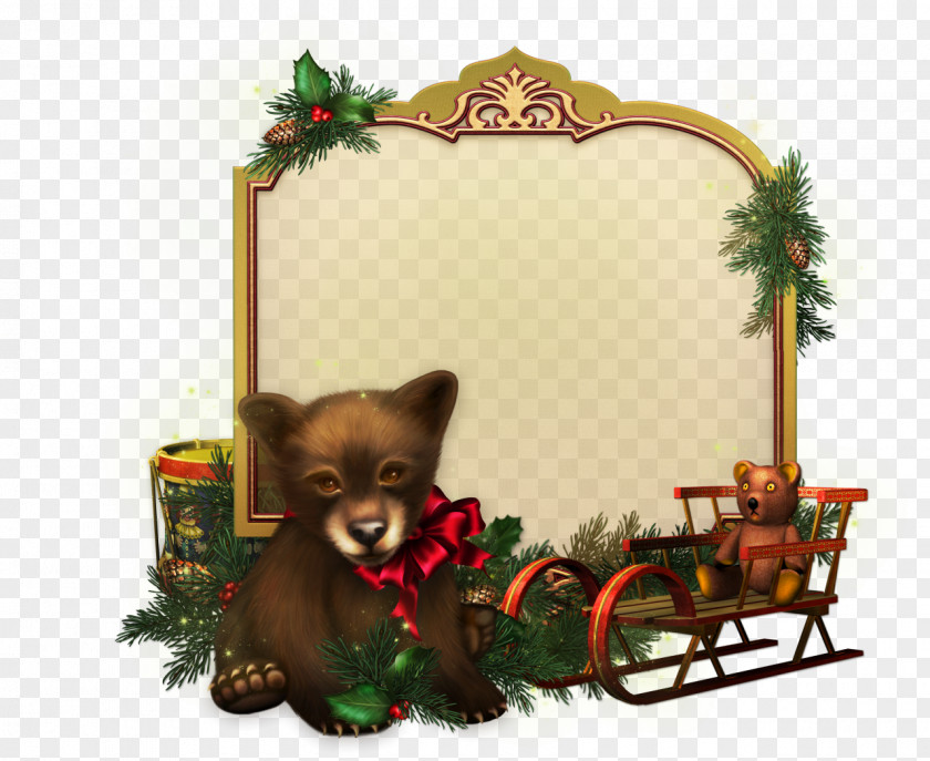 Christmas Ornament Pomeranian Decoration Eve PNG