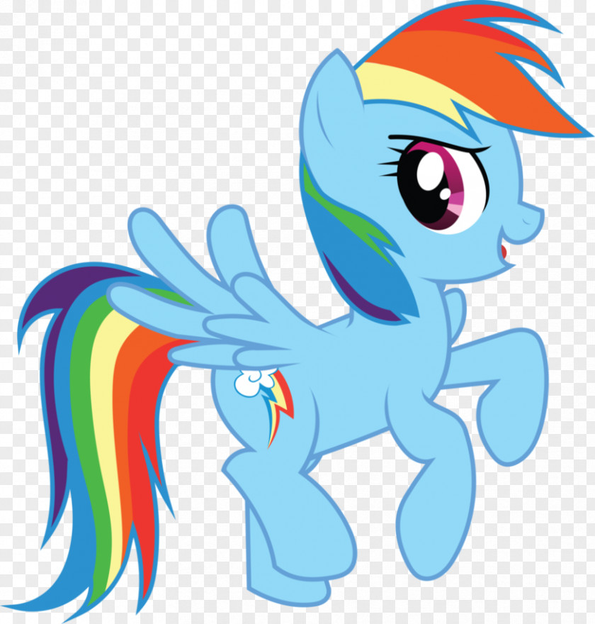 Confident Rainbow Dash Twilight Sparkle Pinkie Pie Applejack Pony PNG