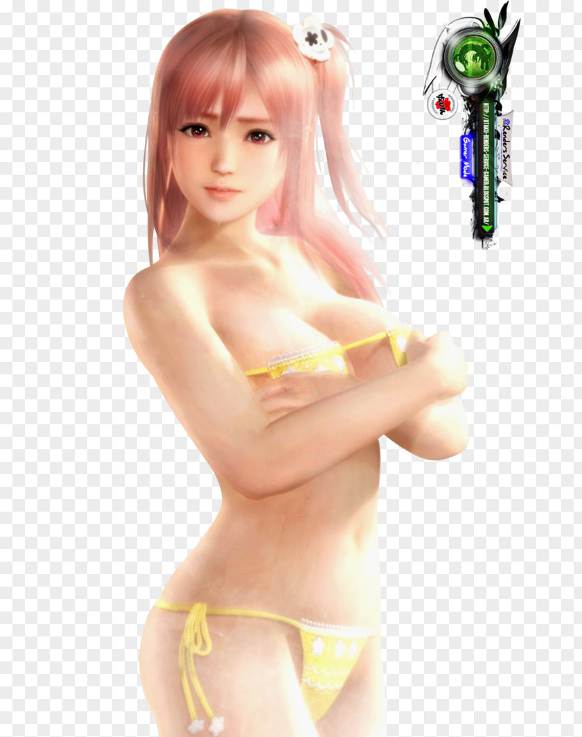 Dead Or Alive 5 Last Round Giant Robo Dokapon Kingdom Rossweisse Art PNG or Art, Sexy bikini clipart PNG
