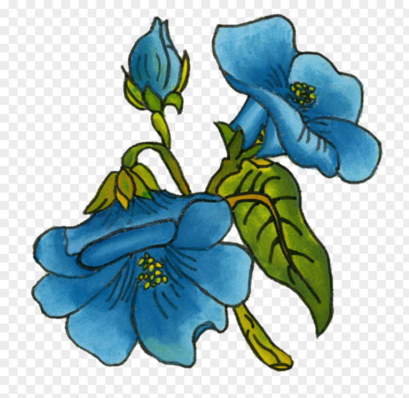 Gentian Family Wildflower Rose Flower PNG