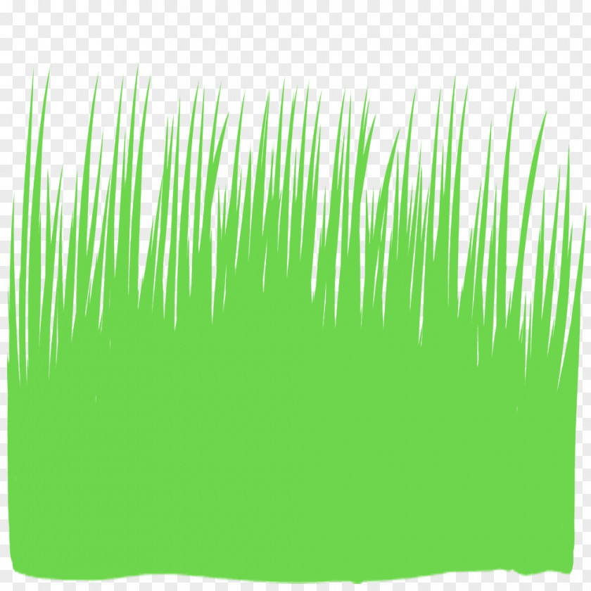Grass Illustration Silhouette Weed Text PNG