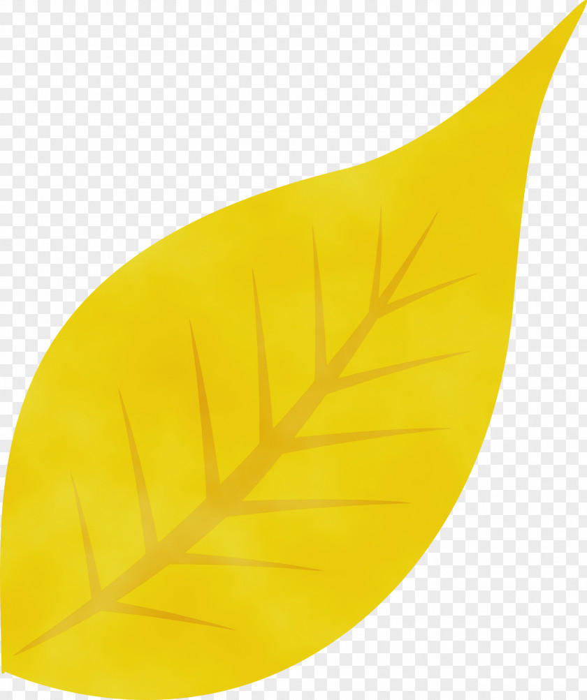 Leaf Yellow Science Plant Structure Biology PNG