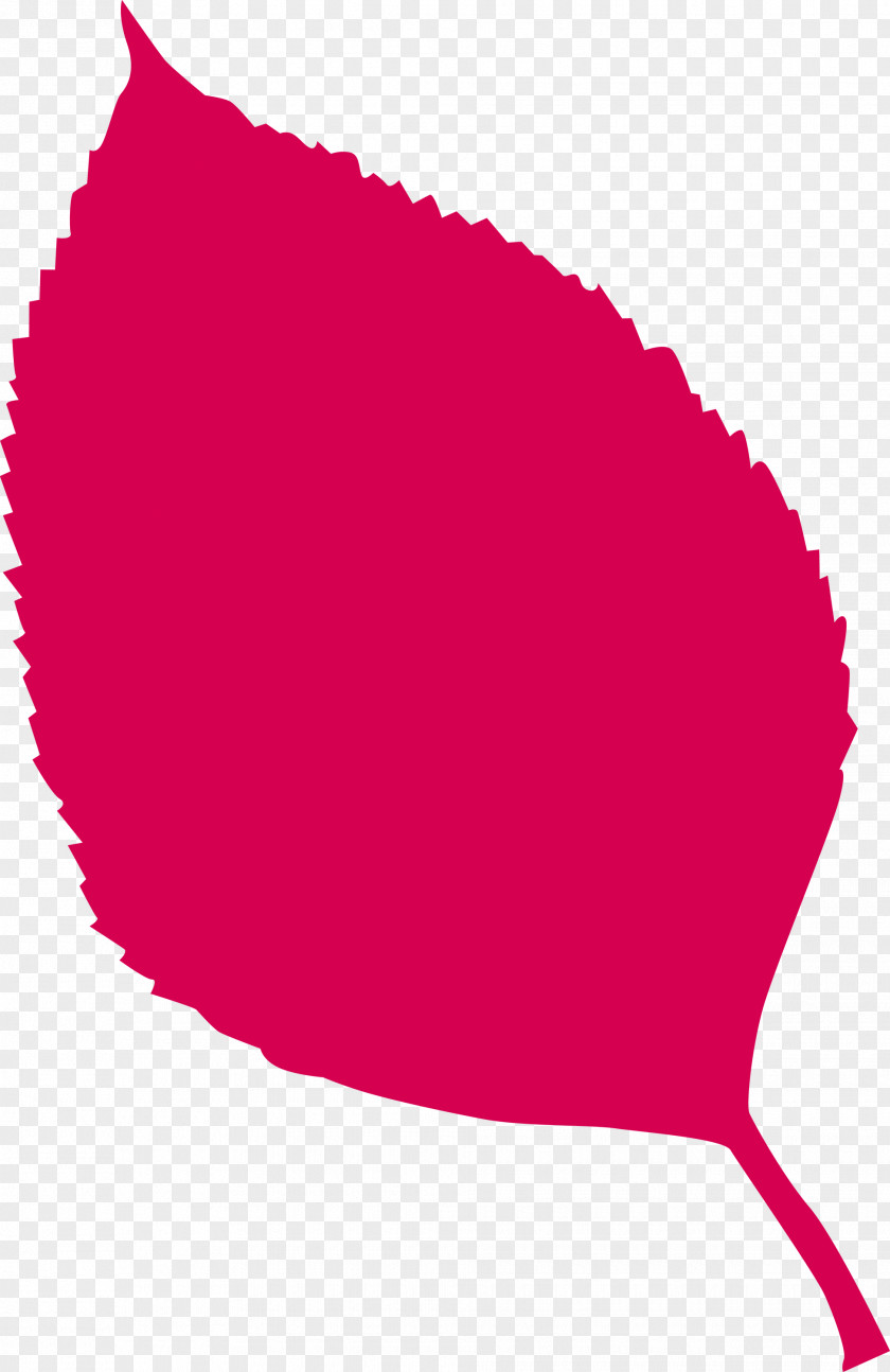 Leaf PNG