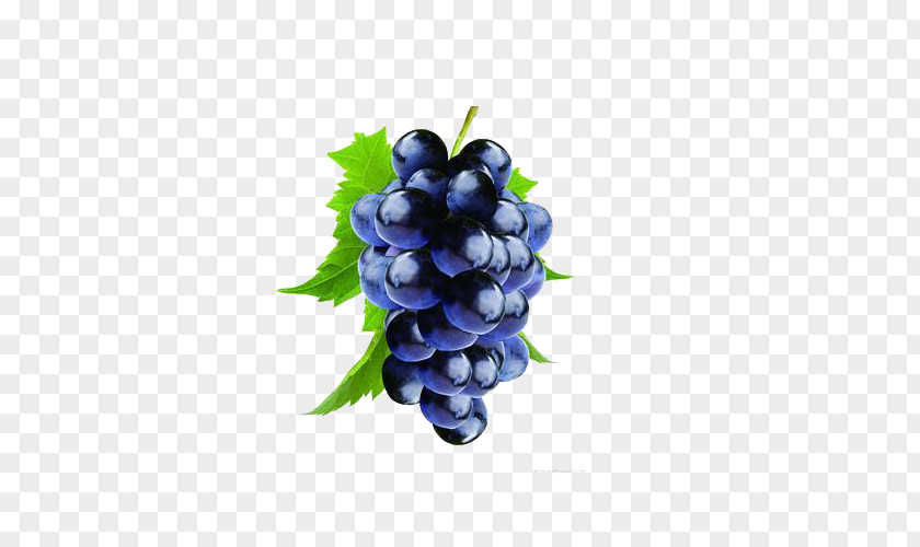 Purple Grape Kyoho Wine Seed Extract Tank Factory PNG