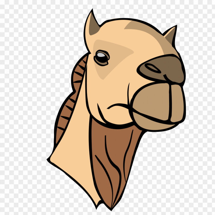 Camel Bactrian Dromedary Face Clip Art PNG