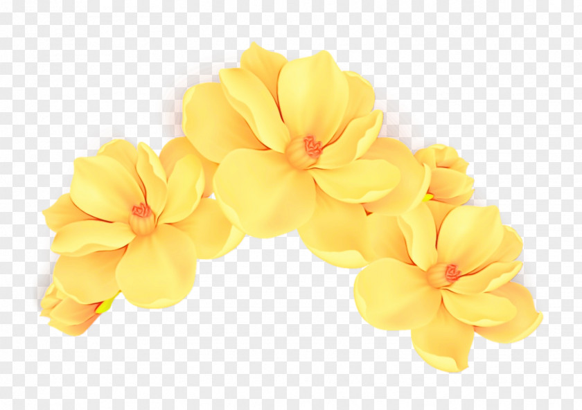 Cut Flowers Yellow Flower PNG