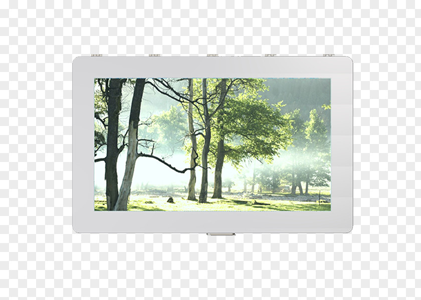 D462FLLCD Flat Panel Display720p Electronic Visual DisplayOthers Hyundai Motor Company Computer Monitors Digital Signs PNG