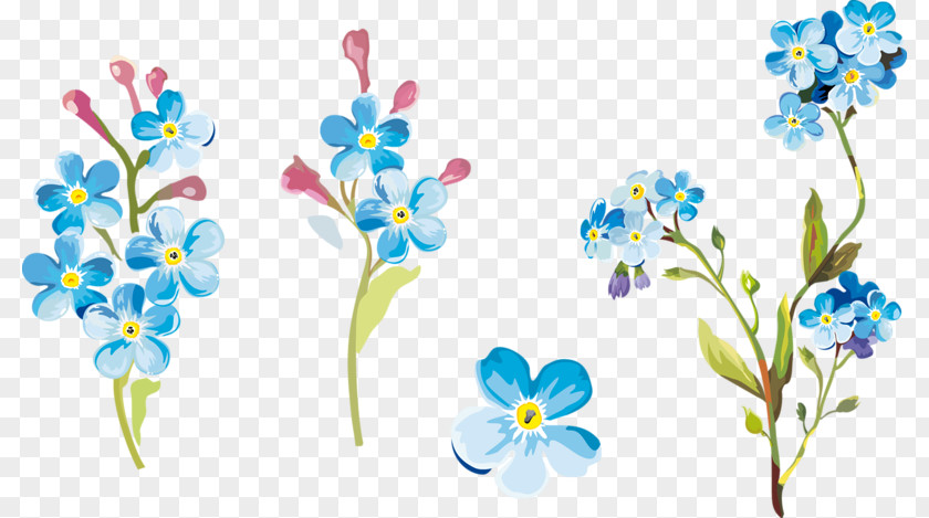 Flower Floral Design Cut Flowers Petal Wildflower PNG