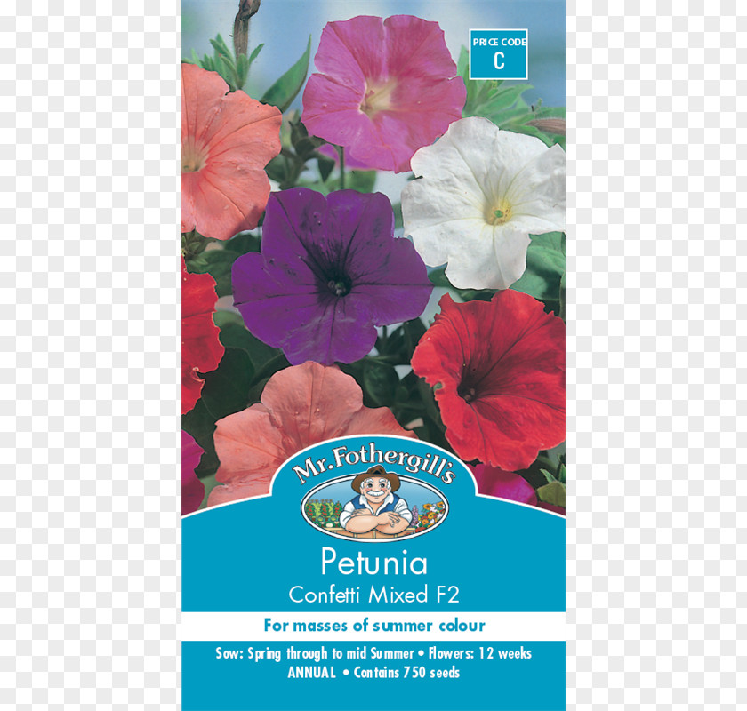 Flower Petunia Seed Germination Petal PNG