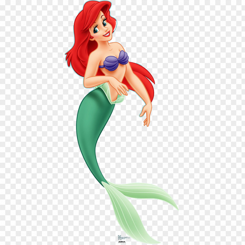 Little Mermaid Ariel Belle Sebastian Rapunzel Disney Princess PNG