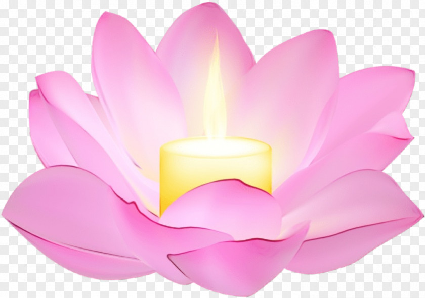 Plant Flower Lotus PNG