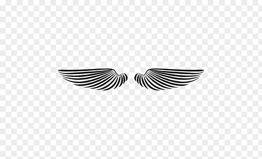 Wings Monochrome Photography Feather Line PNG