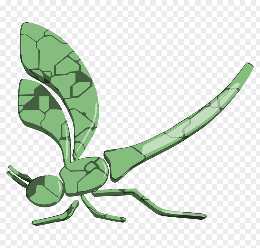 Dragonfly Images Free Content Clip Art PNG
