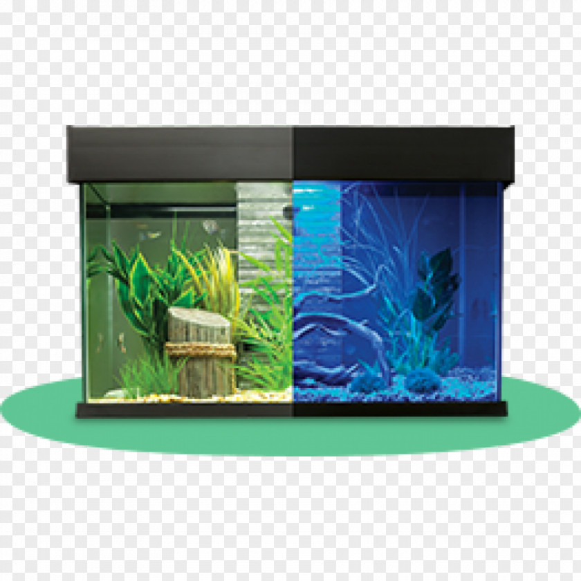 Fish Tank Aquariums Siamese Fighting Aquarium Furniture Filtration PNG
