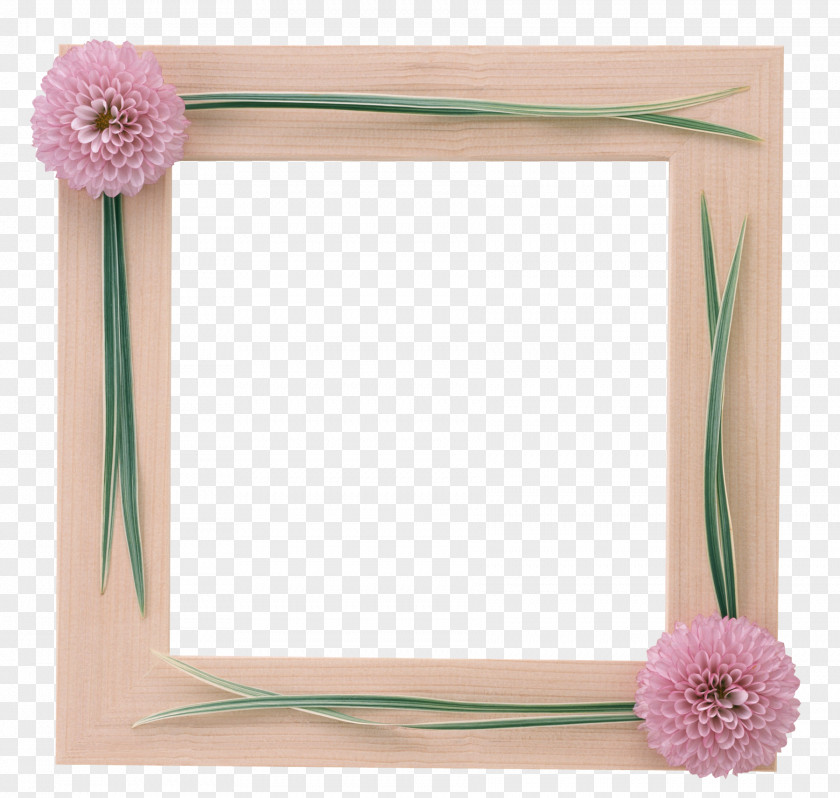 Flower Frame Picture Frames Photography Window PNG