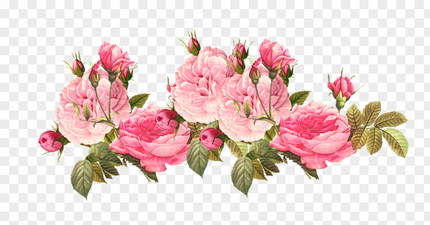 Shabby Star Cliparts Pink Flowers Rose Clip Art PNG