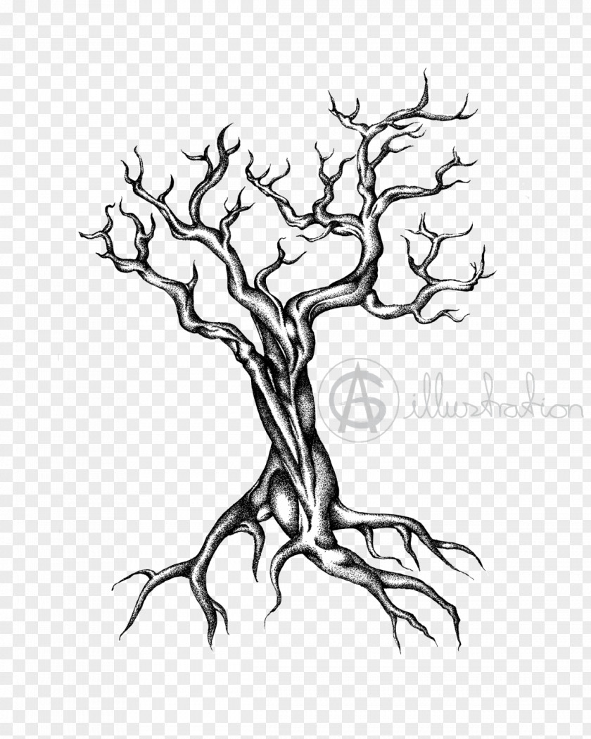 Yggdrasil Symbol Sketch Twig Drawing World Tree PNG