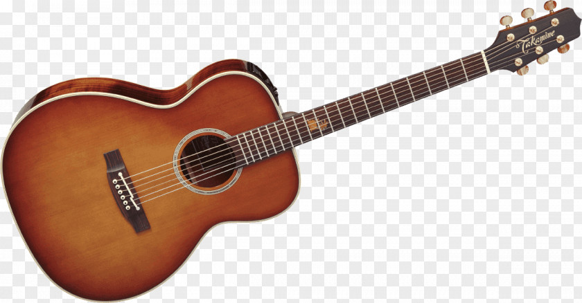 Acoustic Guitar Takamine Guitars Acoustic-electric String Instruments PNG