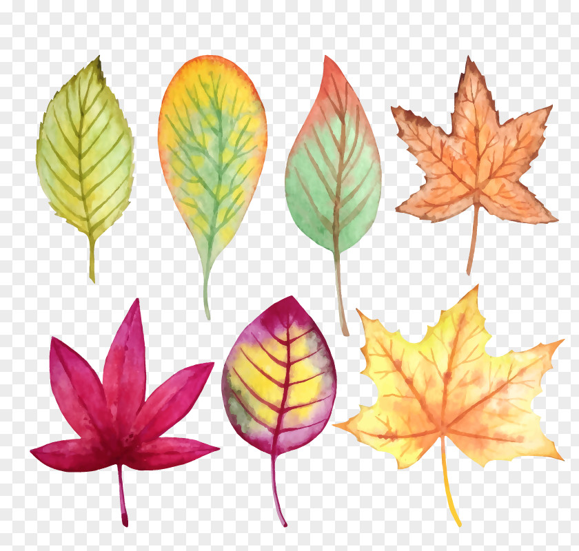 Autumn Creative Watercolor Vector Graphics Painting Image PNG