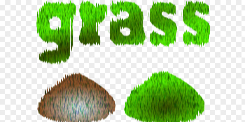 Cartoon Pictures Of Grass Grasses Clip Art PNG