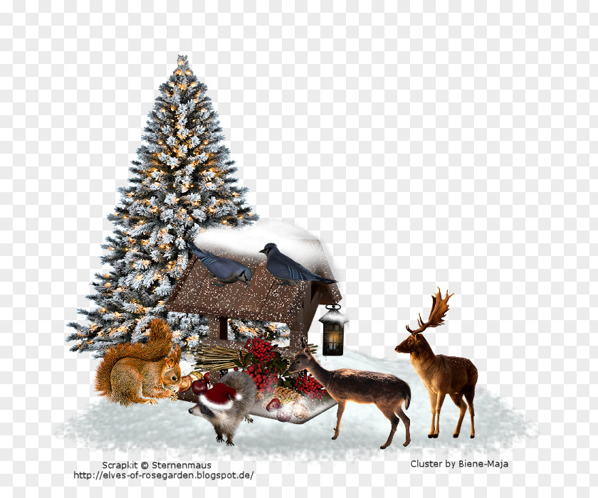 Christmas Tree Reindeer Light PNG