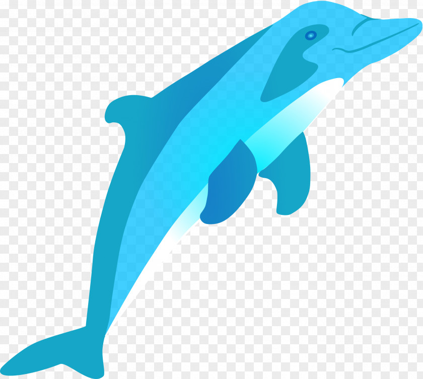 Cute Dolphin Bottlenose Amazon River Clip Art PNG