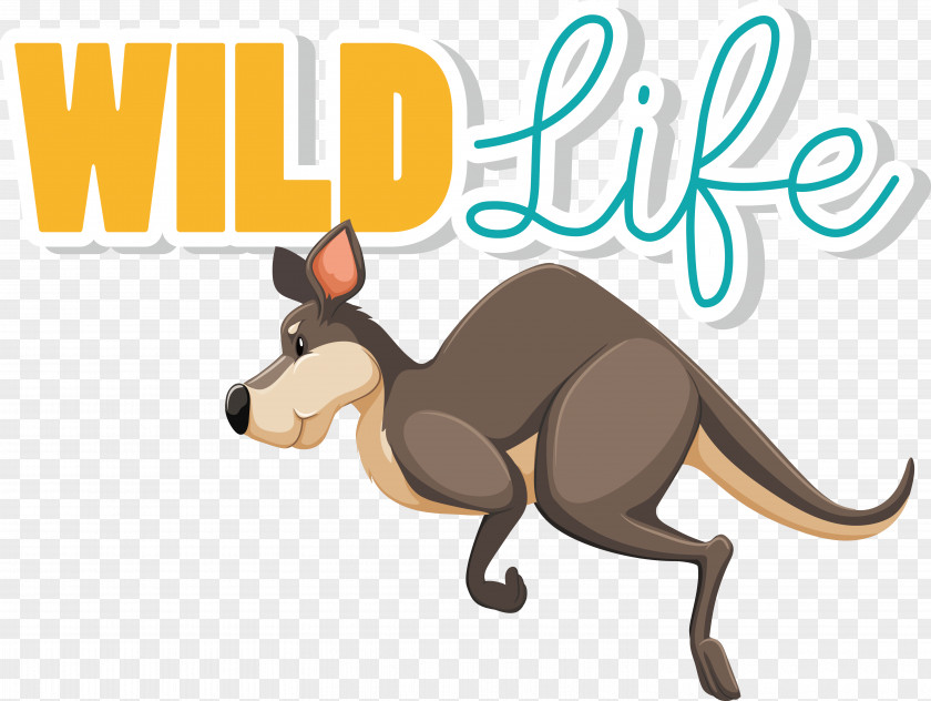 Dog Macropods Kangaroo Cartoon Snout PNG