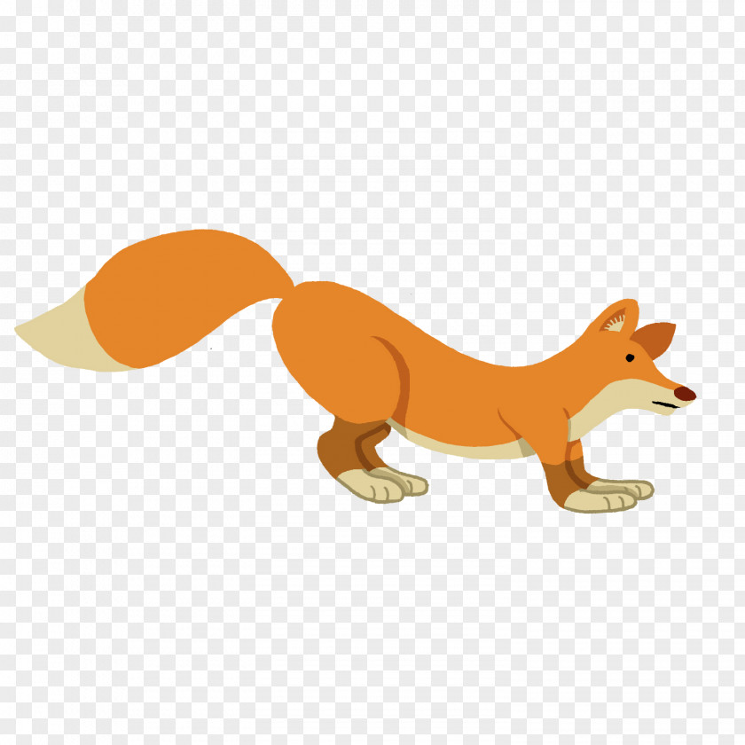 Fox Red Drawing Photography PNG