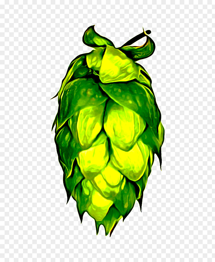 Fruit Hops Green Humulus Lupulus Plant Leaf PNG