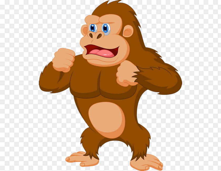 Gorrilla Western Gorilla Stock Photography Clip Art PNG