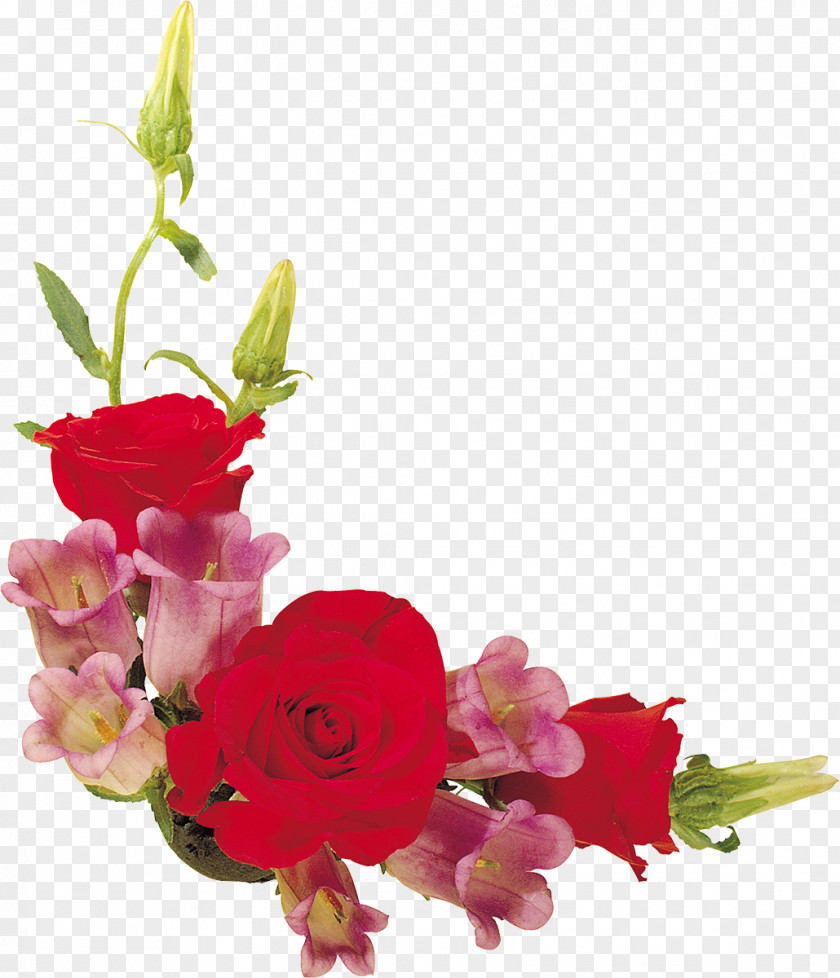 Lily Beach Rose Cut Flowers Garden Roses PNG