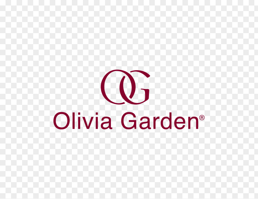 Olivia Garden International Beauty Supply Hairbrush Cosmetologist Hair Care PNG