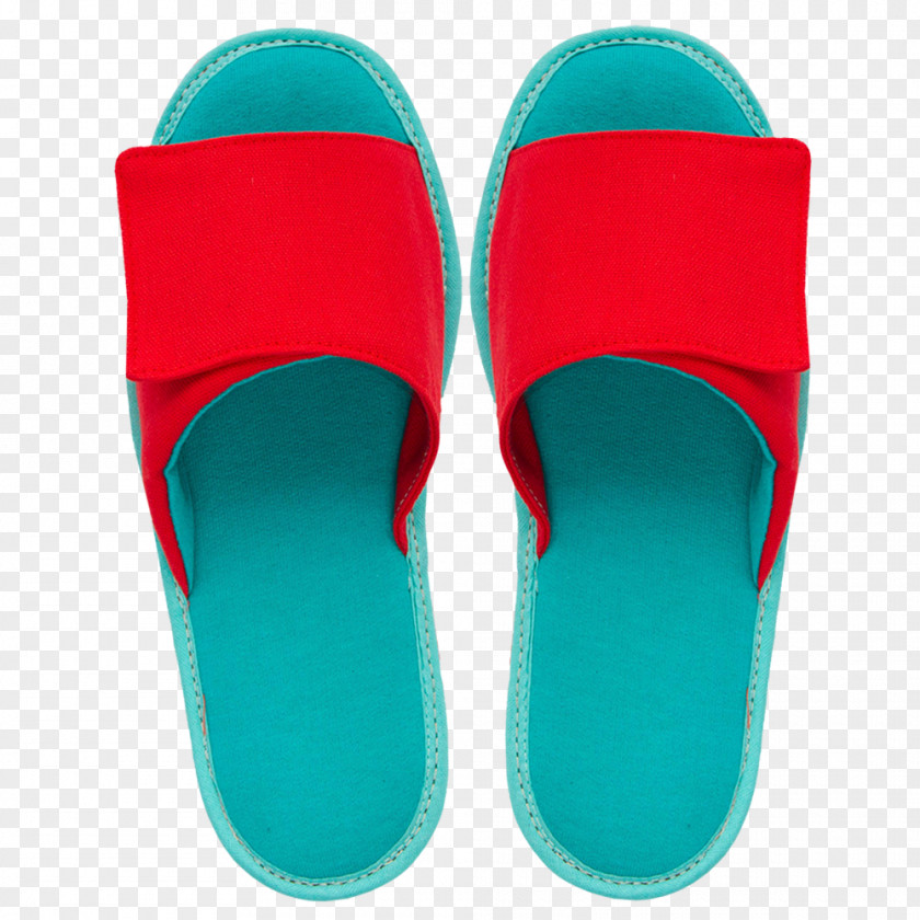 Design Flip-flops Slipper Shoe PNG