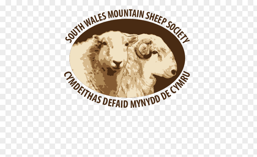 Sheep Breeders South Wales Miners' Museum Welsh Mountain Brecon Sennybridge PNG