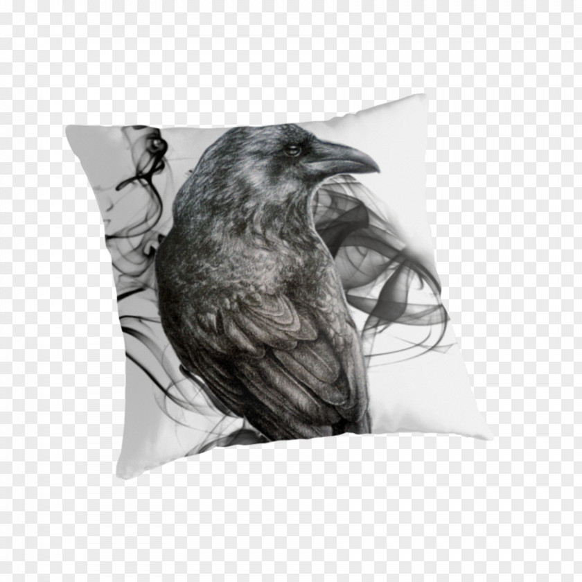 Crow Drawing Common Raven Art Sketch PNG