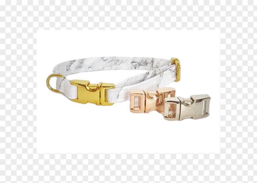 Dog Claw Free Buckle Chart Collar Leash Carrara PNG