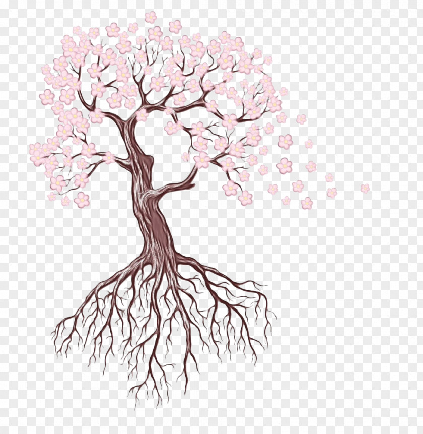 Drawing Tree Sketch Illustration Root PNG